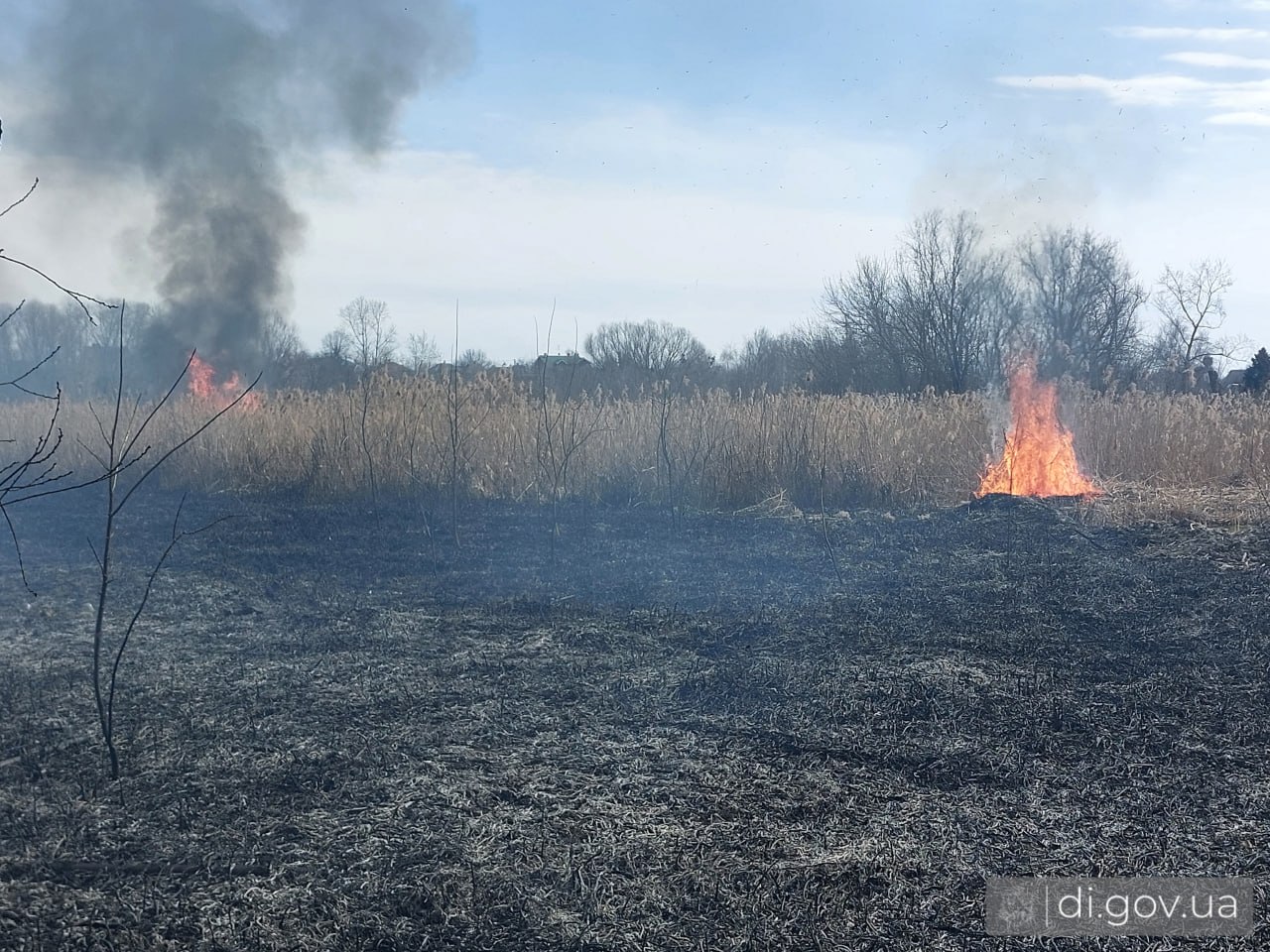 У Харківській області невідомі підпалили сухостій